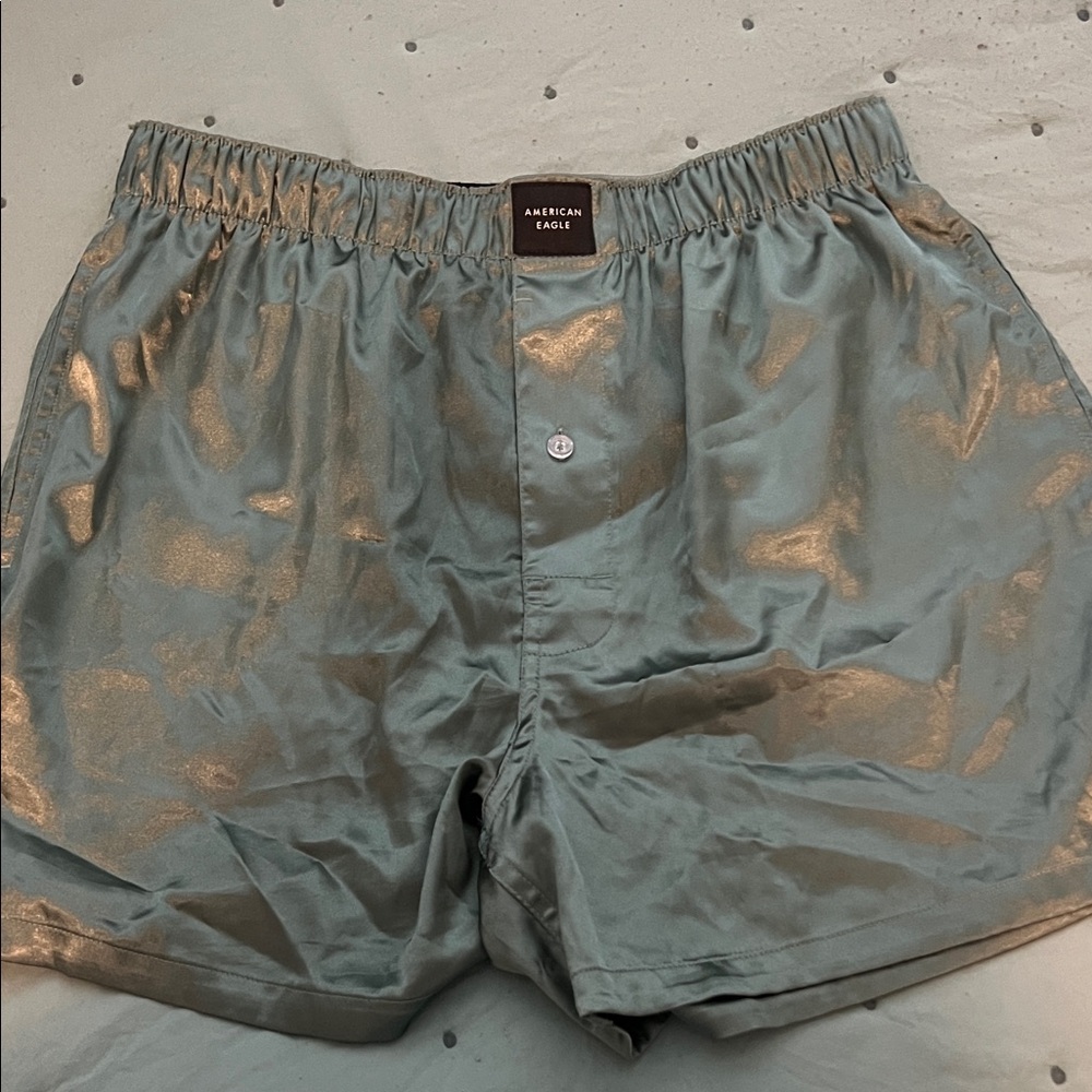 Brand New American Eagle Outfitters Men's Silk Boxers